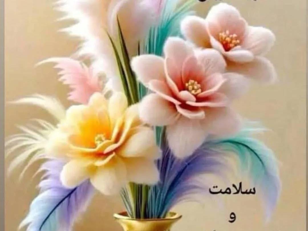 املاک تی تی بوم