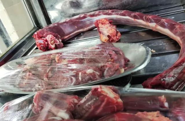 عرضه گوشت شترمرغ رضایی نژاد