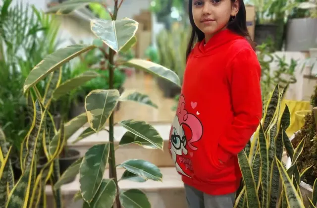 گل فروشی باغ شیشه