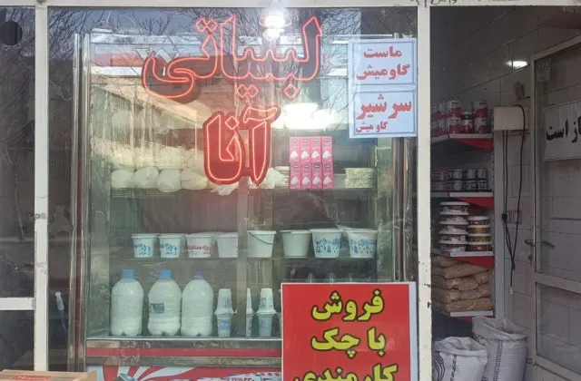 لبنیاتی و خشکبار انا