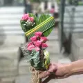 گل فروشی آندیا ارسال رایگان تهران