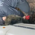 مکانیکی و جلوبندی اوس حجت