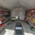تعویض روغنی شکاری