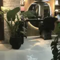 آرایشگاه مردانه