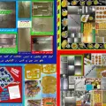 شرف الشمس کامیاب